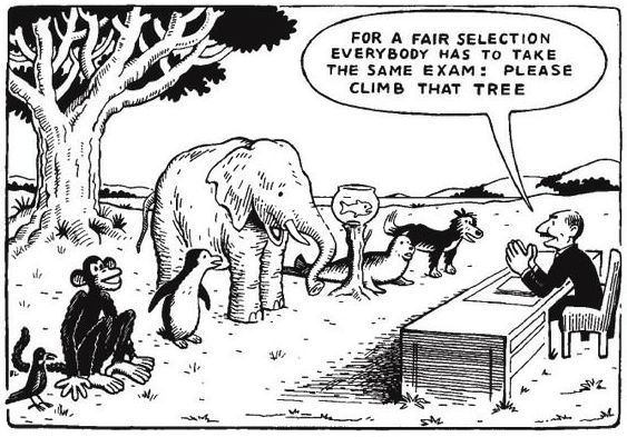 The Education System: “Now Climb That Tree” | The Marquette Educator